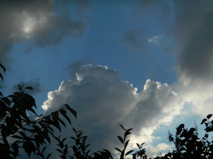 DSCN1572