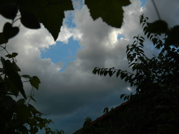 DSCN1578