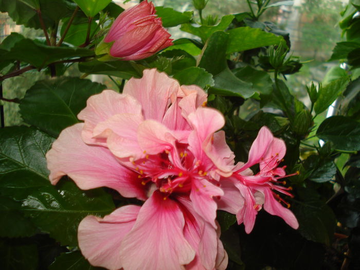 DSC02160