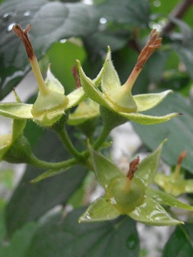 P6250304