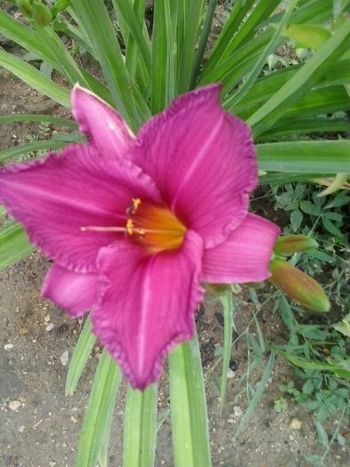 20150620_082228