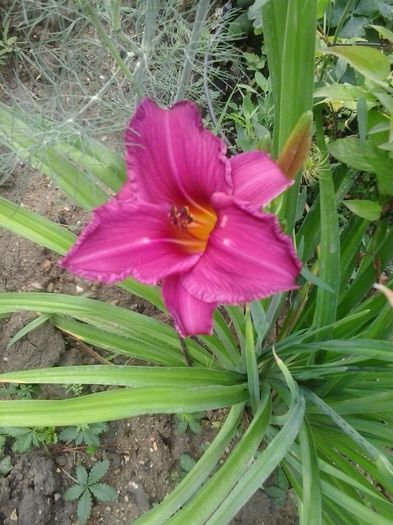 20150620_082235