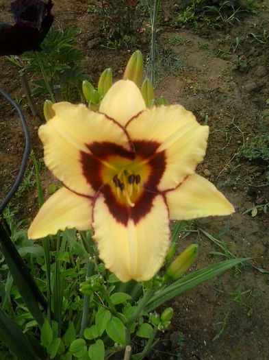 20150620_082309
