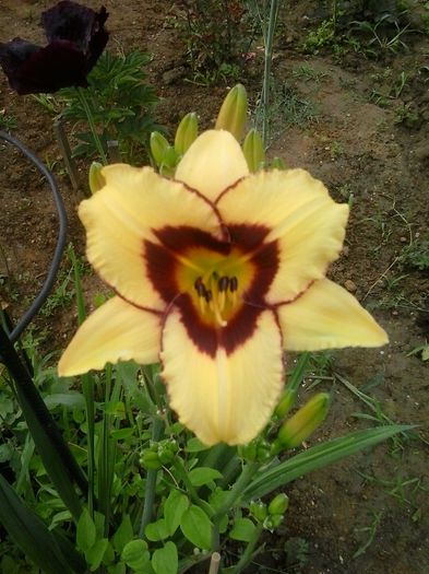 20150620_082310