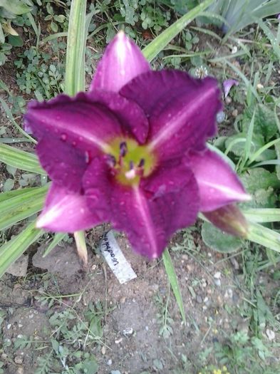 20150621_082056