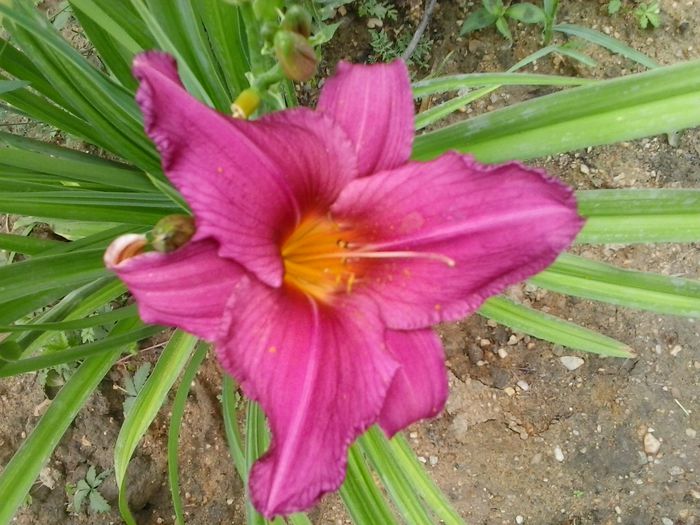 20150621_150930
