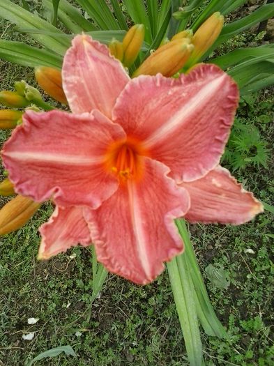 20150621_151018