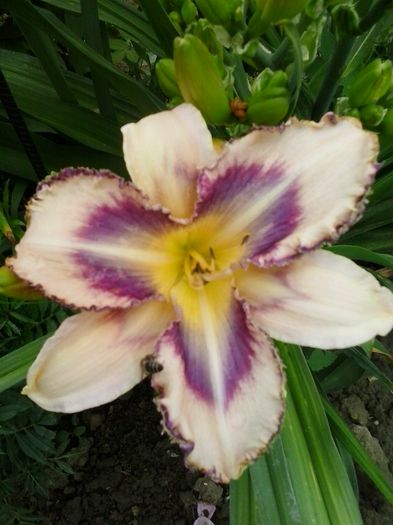 20150621_151046