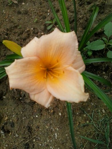 20150621_153800