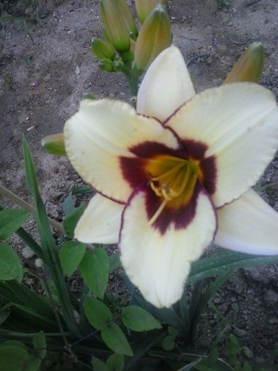 20150622_195921