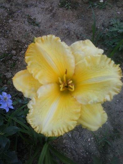 20150622_195929