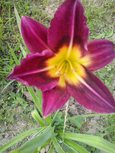 20150623_165233 - Copy