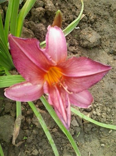 20150624_181454