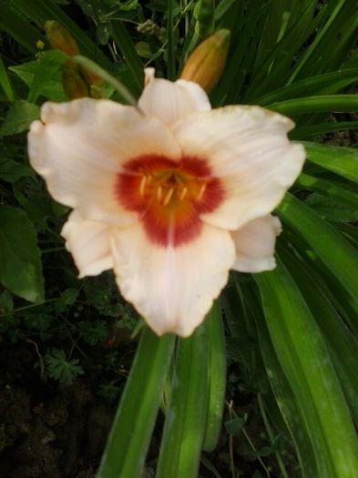 20150624_181512