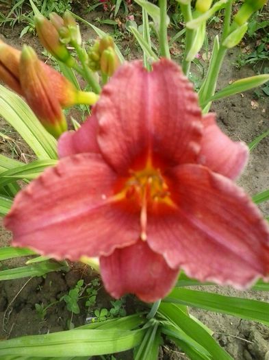 20150624_181520