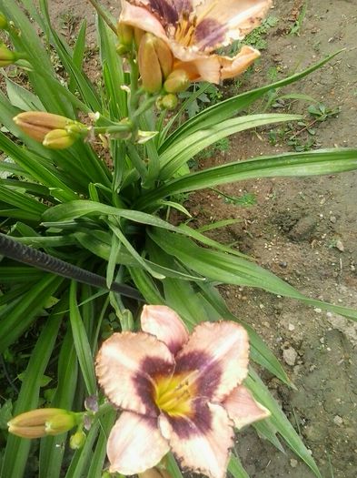 20150624_181605