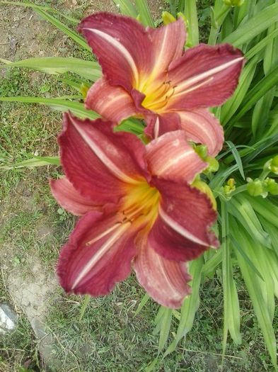 20150625_144739