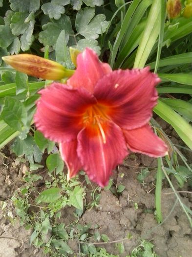 20150625_144831