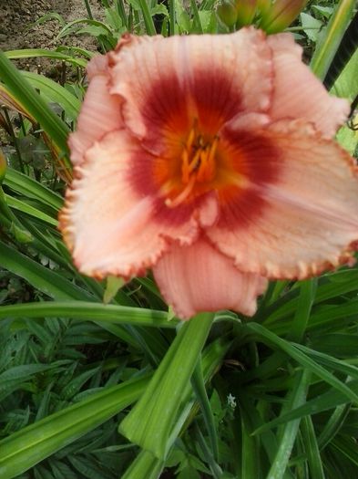 20150625_144856