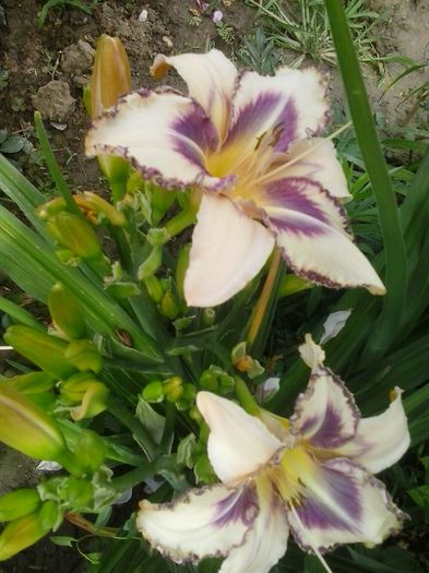 20150625_144937