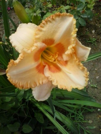 20150625_144946