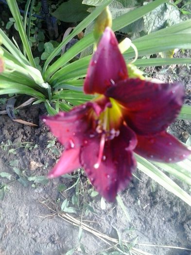 20150626_083316