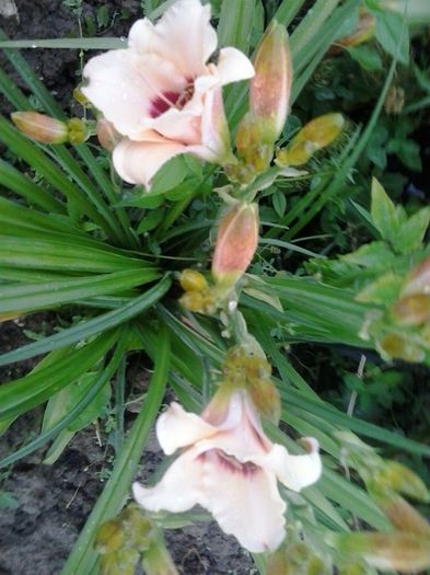 20150627_062337