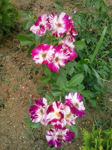20150619_123310