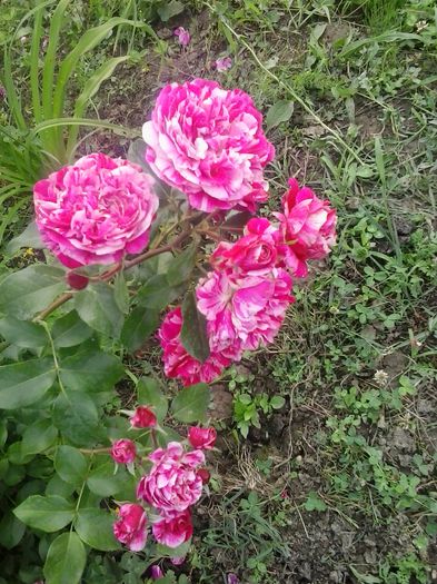 20150619_191554
