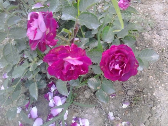 20150622_200414