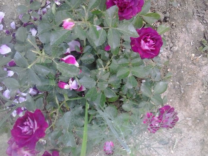 20150622_200426