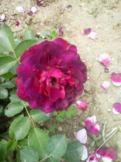 20150625_145449