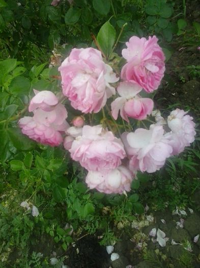 20150617_155521