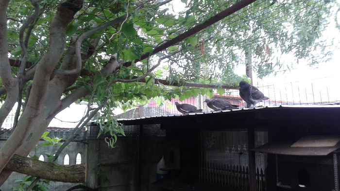 20150620_074114