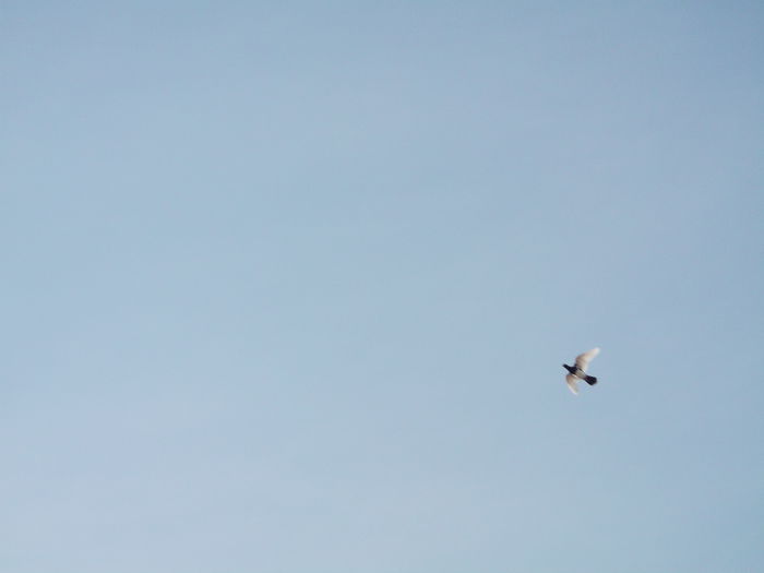 Picture 6142