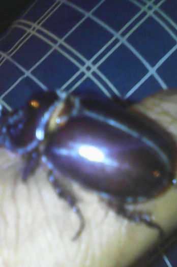 IMG_20150623_221437_32CS