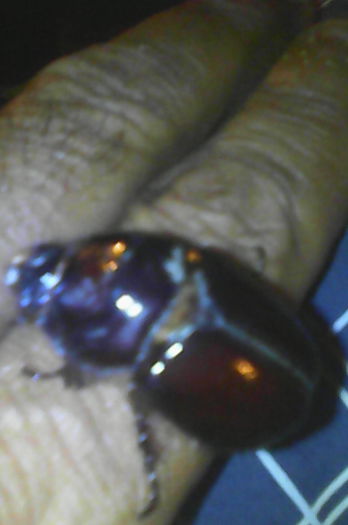 IMG_20150623_221359_36CS