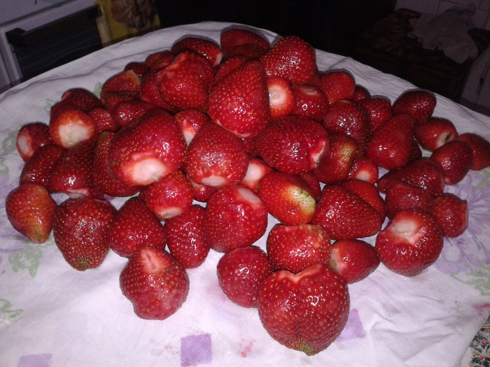 Fotografie-0039 - In gradina