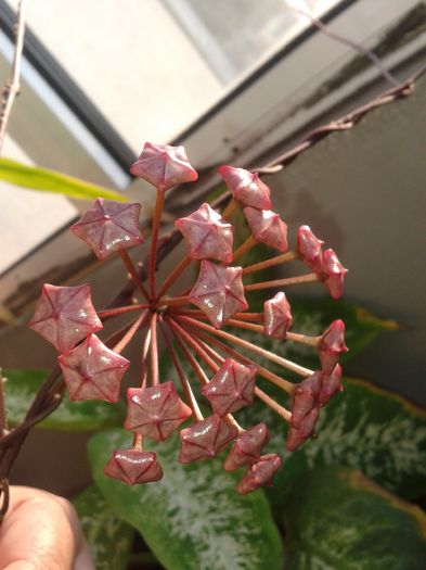20150627_195135
