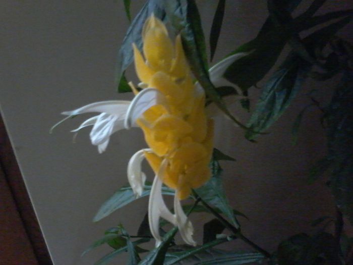 20150625_172101
