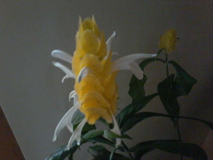 20150625_172050
