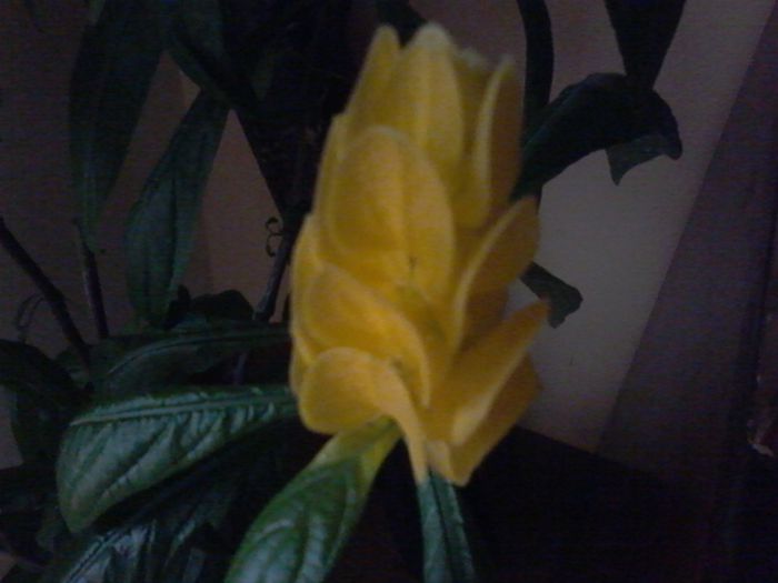 20150625_172119