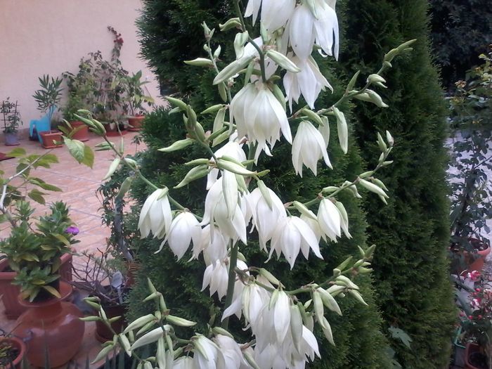 20150628_071256