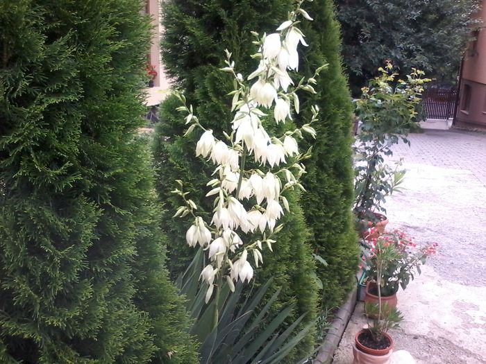 20150628_071305