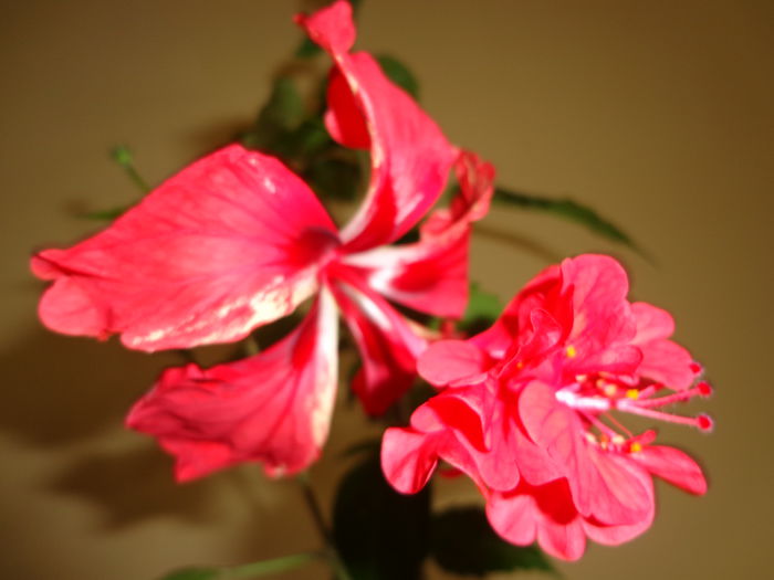 DSC08480