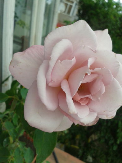 2015-06-26 15.37.35