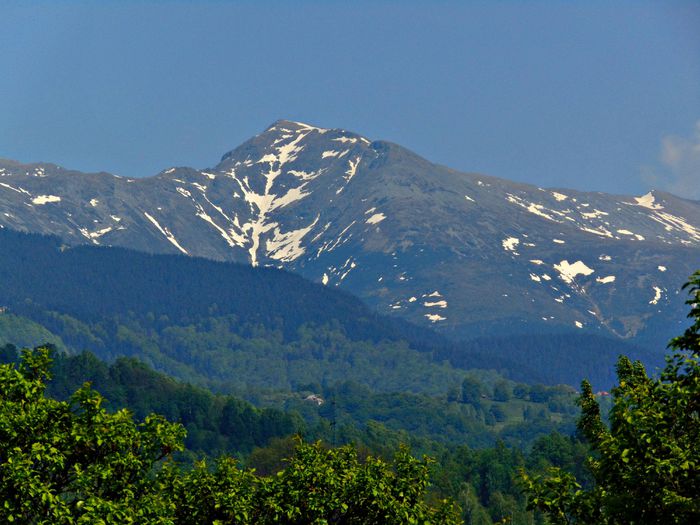 DSC07587