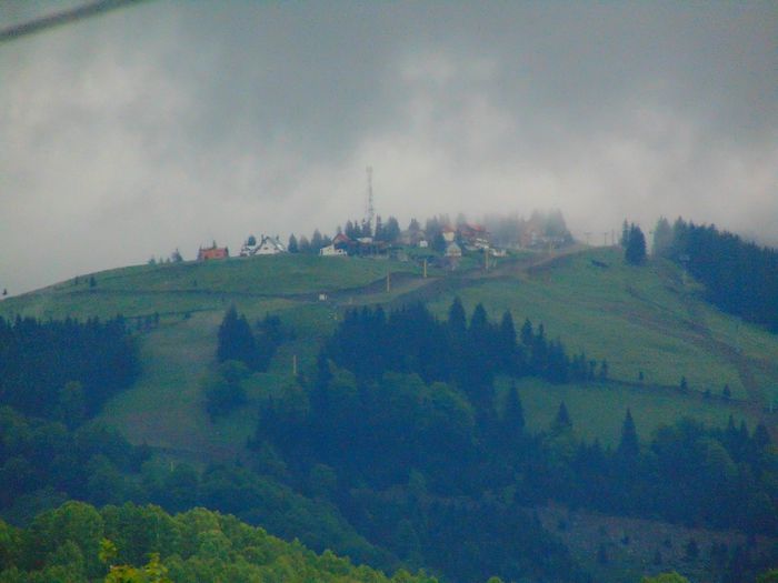 DSC07907