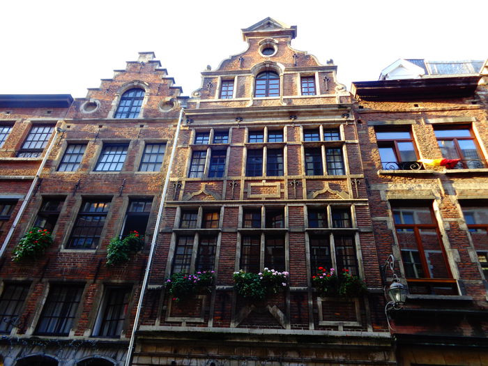 DSC01636 - 2014 BELGIA BRUXELLES