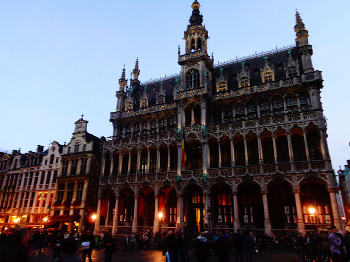 DSC01645 - 2014 BELGIA BRUXELLES